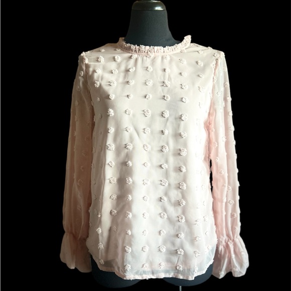 Pink Swiss Dot Long Sleeve Top Medium NWT - Picture 2 of 3